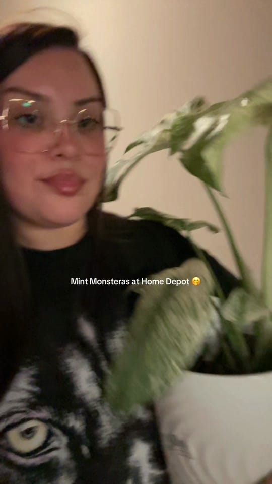 Post 3 by Janeth Dominguez on TikTok (video)