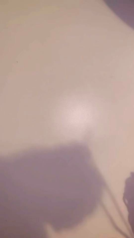 Post 7 by 1GeeMonti on TikTok (video)