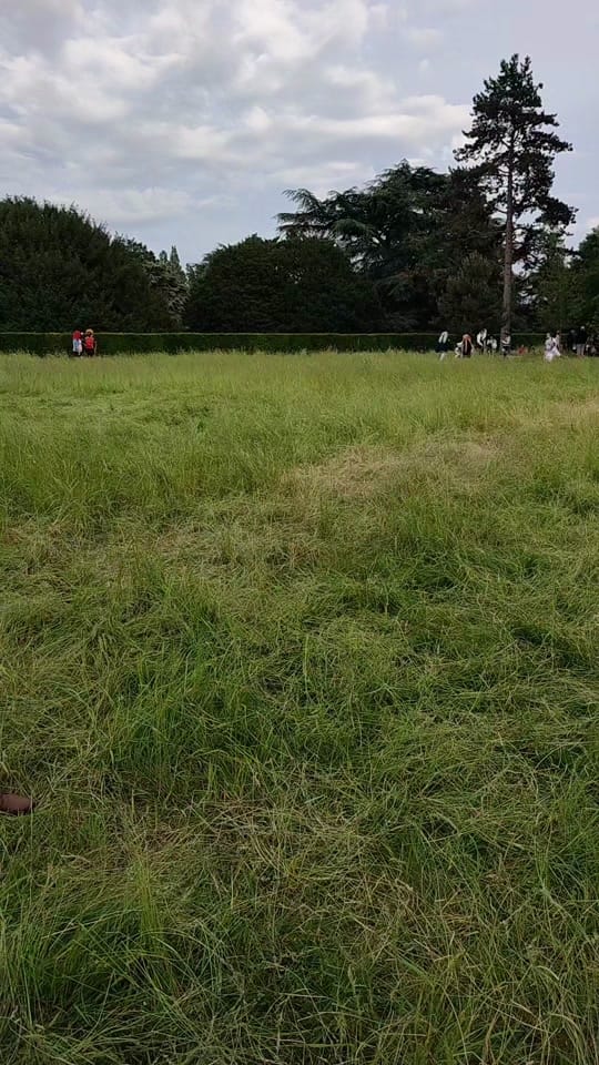 Post 7 by GrantaiRe on TikTok (video)