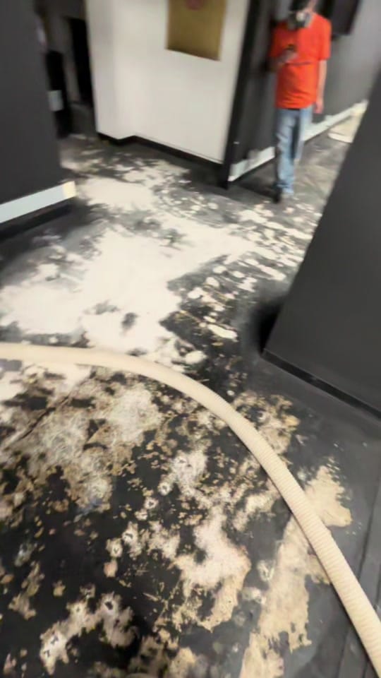 Post 6 by Puremirr on TikTok (video)