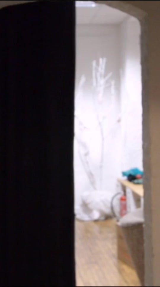 Post 2 by Kadumi on TikTok (video)