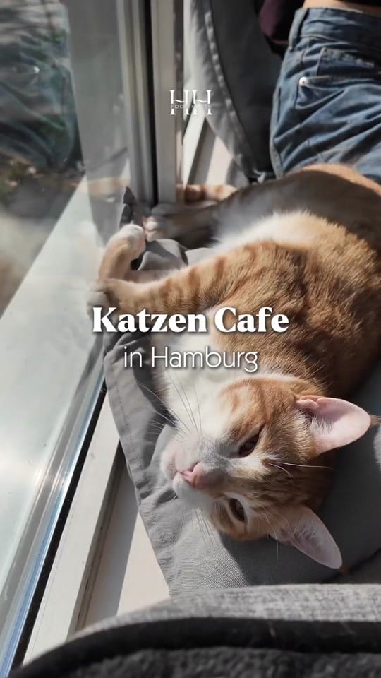 Post 9 by Hamburg Food Spots on TikTok (video)