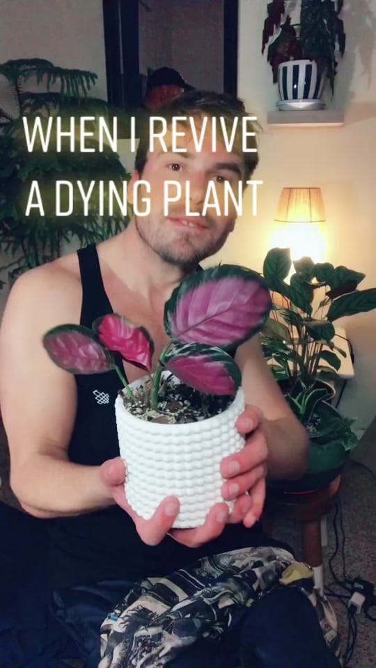 Post 10 by CoJoe on TikTok (video)
