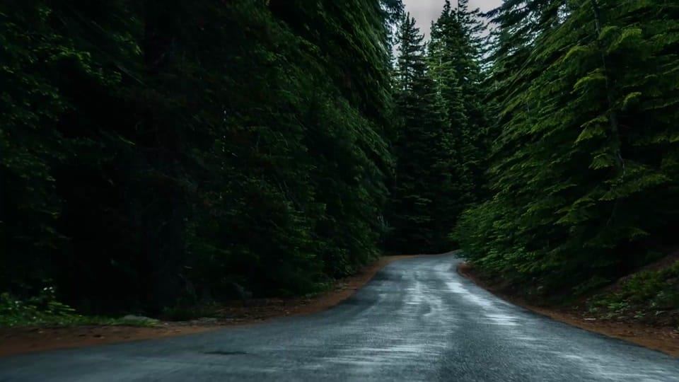 Post 4 by midnightfury on TikTok (video)