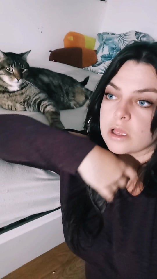 Post 9 by Jenny Klingeling on TikTok (video)