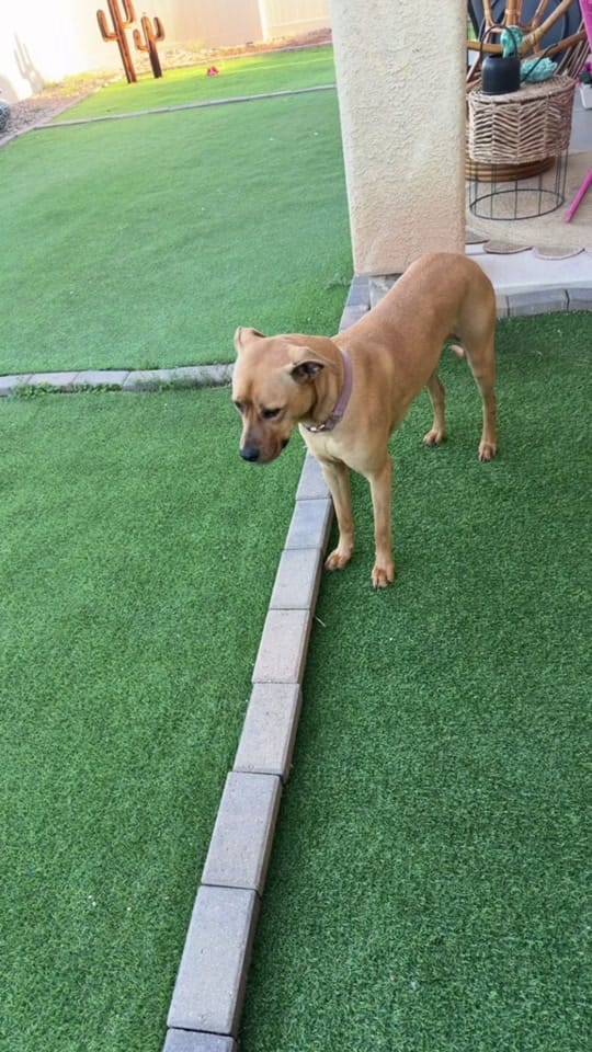 Post 7 by Steph on TikTok (video)