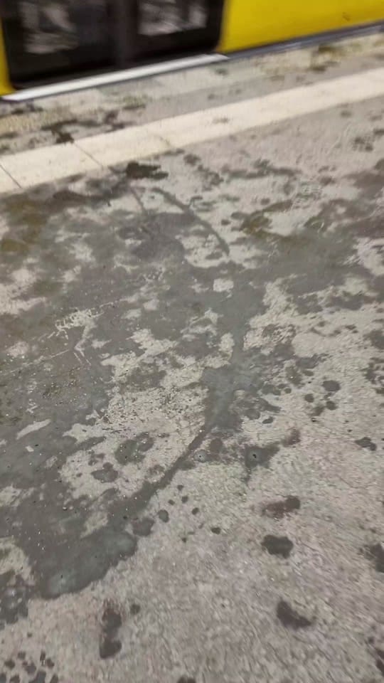 Post 8 by MARIAMARACHOWSKA on TikTok (video)