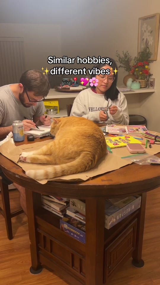 Post 4 by Mara McGinnis on TikTok (video)