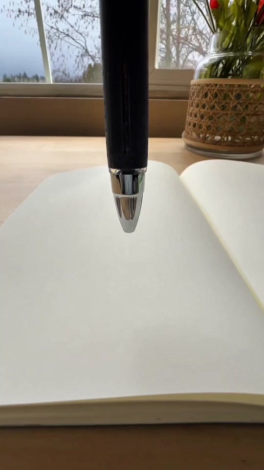 Post 9 by Mara McGinnis on TikTok (video)