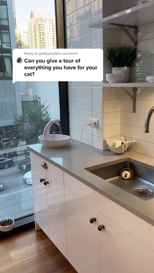 Post 10 by Alisha Hoath Kozlin on TikTok (video)