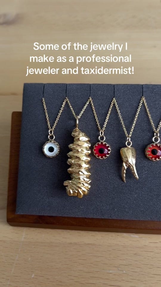 Post 5 by Mickey Alice Kwapis on TikTok (video)