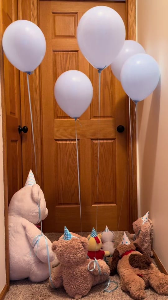Post 3 by Emily Paulson Photography on TikTok (video)