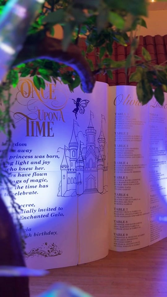 Post 2 by Penelope Designs on TikTok (video)