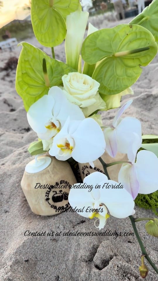 Post 9 by IDEAL EVENTS | WEDDINGS | FL on TikTok (video)