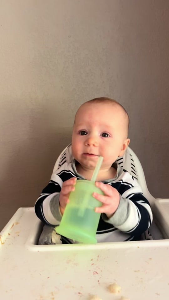 Post 1 by bumble.brie🐝 on TikTok (video)