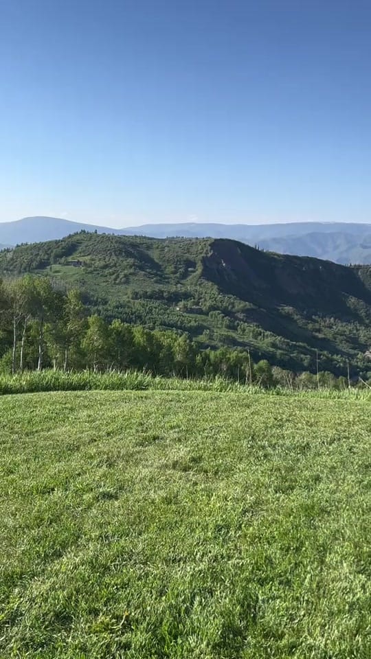 Post 10 by bumble.brie🐝 on TikTok (video)