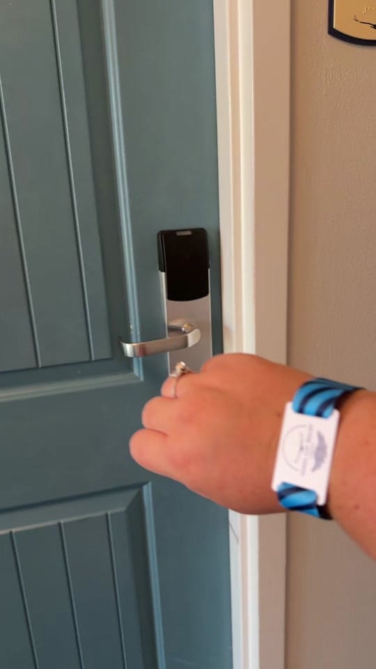 Post 4 by Maddie|Florida Wedding Planner on TikTok (video)