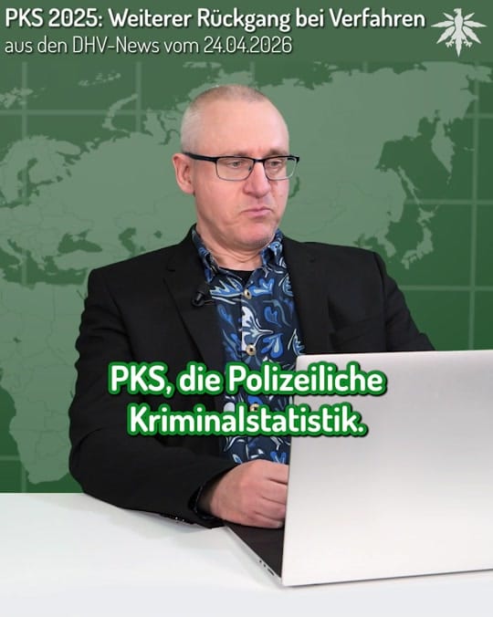 Post 8 by Deutscher Hanfverband on TikTok (video)