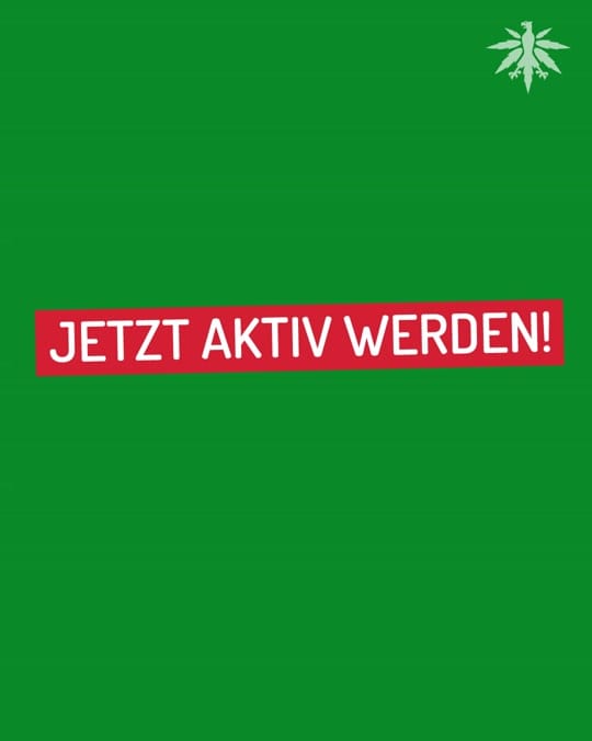 Post 5 by Deutscher Hanfverband on TikTok (video)