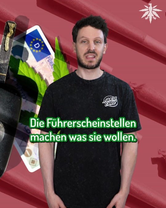 Post 6 by Deutscher Hanfverband on TikTok (video)