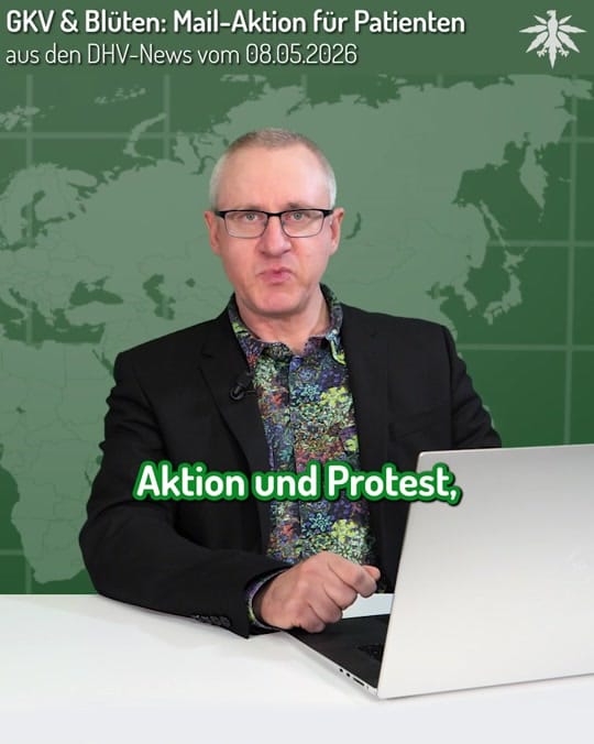 Post 4 by Deutscher Hanfverband on TikTok (video)