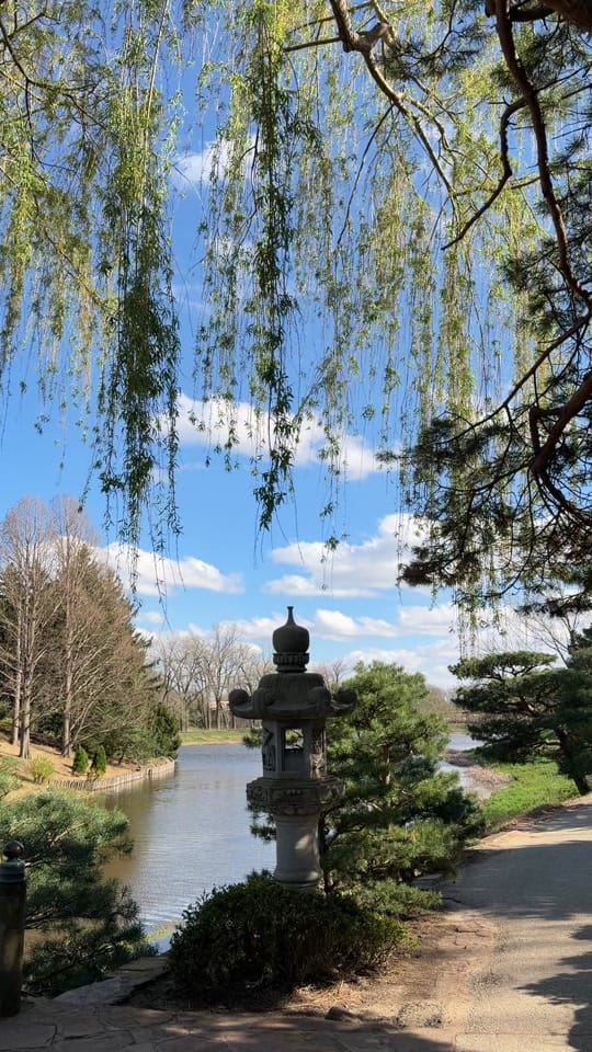 Post 9 by Bolor color 💓 on TikTok (video)