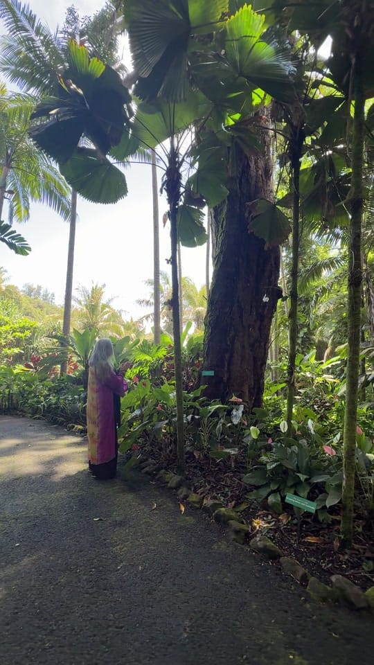 Post 2 by Buddha World on TikTok (video)