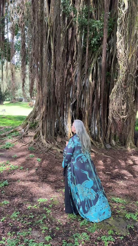 Post 6 by Buddha World on TikTok (video)