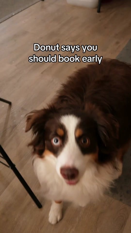 Post 4 by Bupp Woodworks & Designs on TikTok (video)