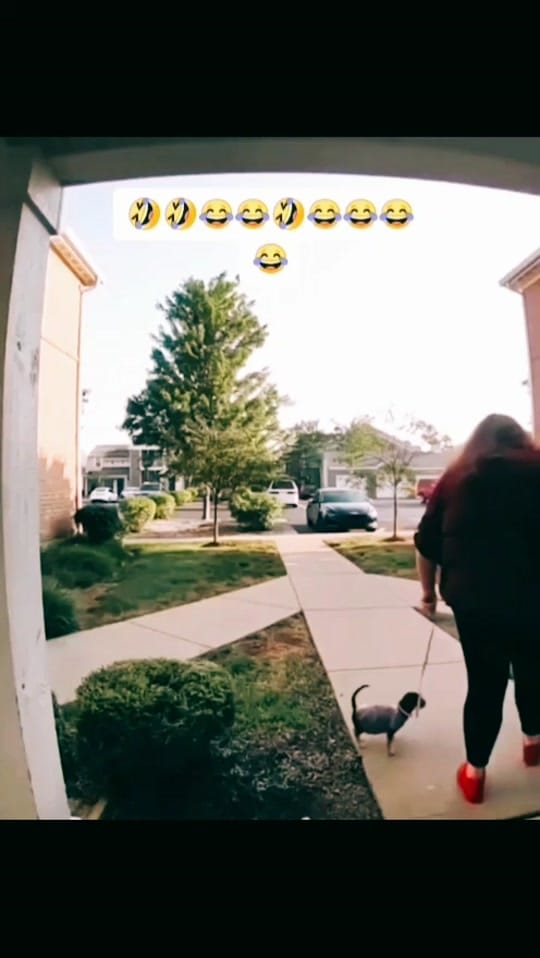 Post 4 by Claudia Sârbu on TikTok (video)