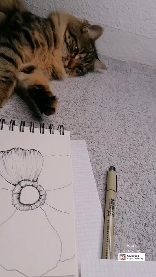 Post 7 by Mrs_betty7 on TikTok (video)