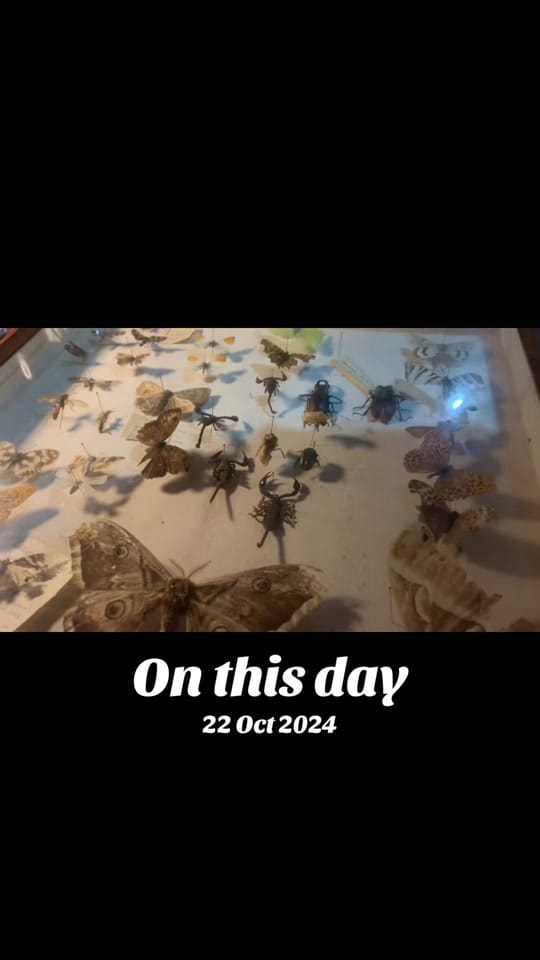 Post 5 by RA on TikTok (video)