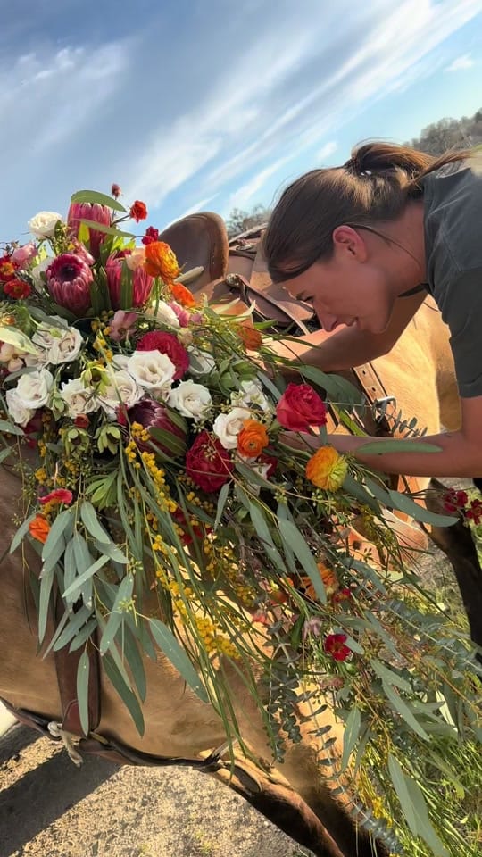 Post 8 by Wyoming Elopements on TikTok (video)