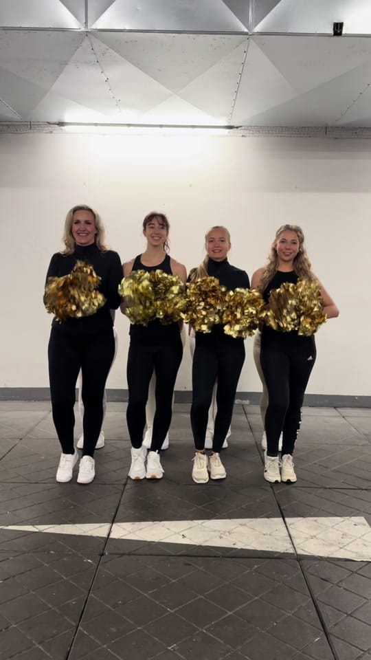 Post 9 by Berlin Dance Team on TikTok (video)