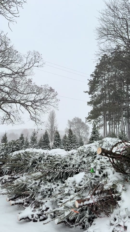 Post 10 by Destination Wedding Photog on TikTok (video)