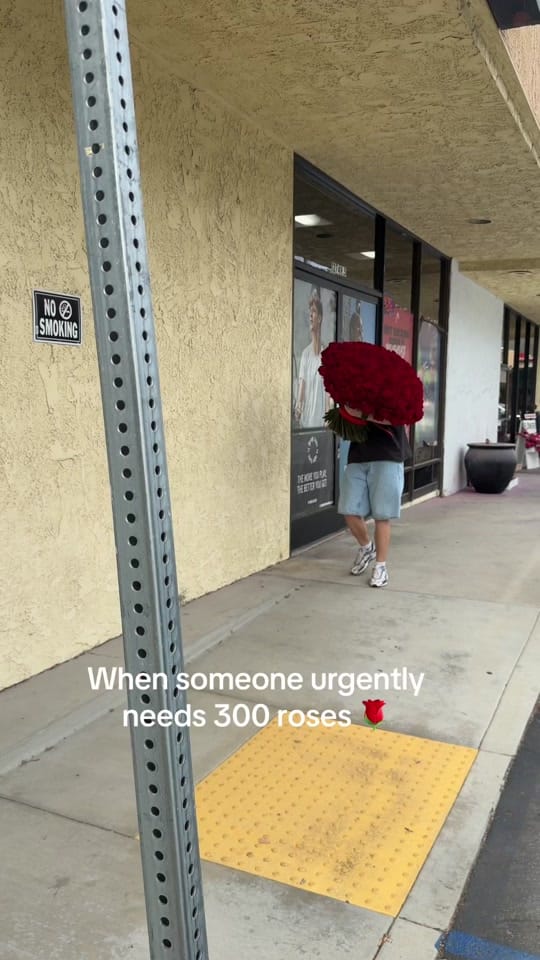 Post 6 by Floral No 5 on TikTok (video)