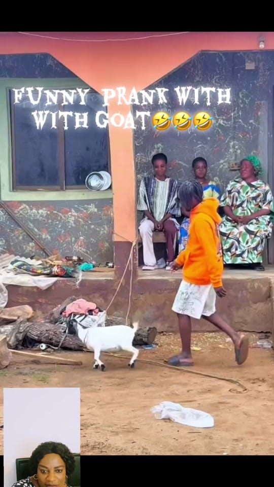 Post 1 by LadyG on TikTok (video)