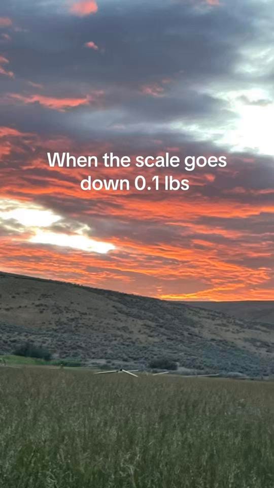 Post 5 by thatredbarnlady on TikTok (video)