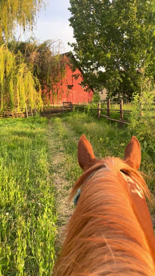 Post 10 by thatredbarnlady on TikTok (video)
