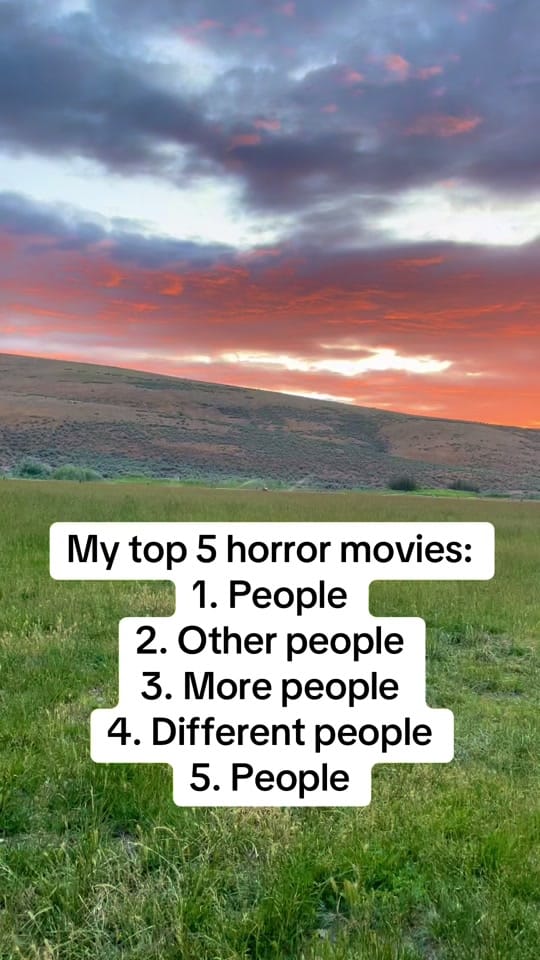 Post 3 by thatredbarnlady on TikTok (video)