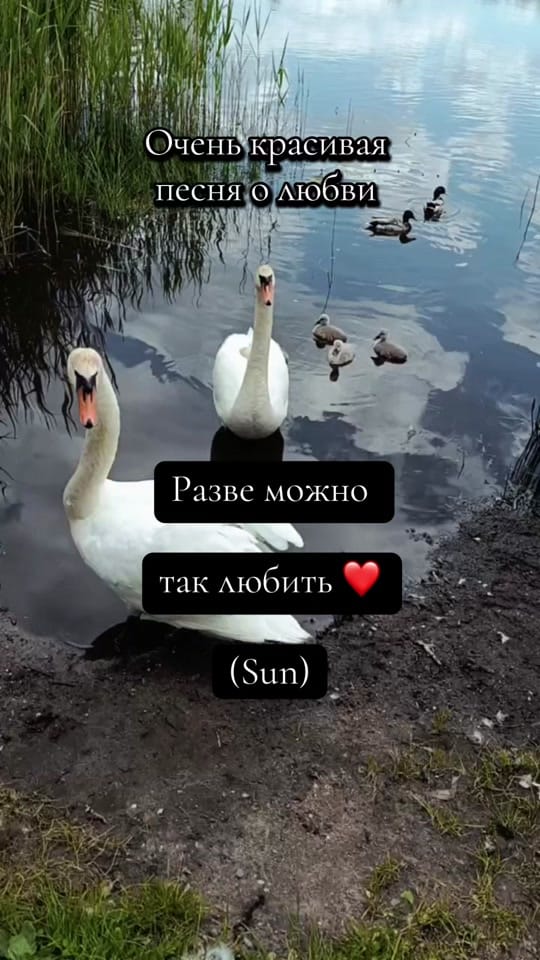 Post 3 by kiri_musica 🎶💕🎶 on TikTok (video)