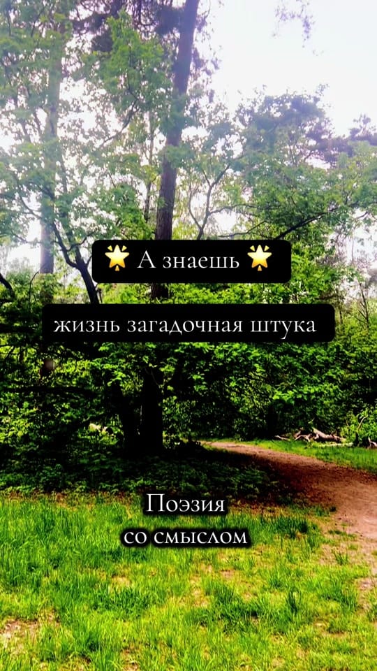 Post 6 by kiri_musica 🎶💕🎶 on TikTok (video)