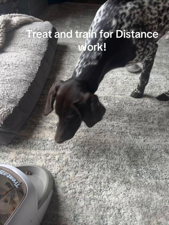 Post 9 by Fly-N-Bee Farms on TikTok (video)