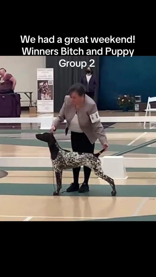 Post 5 by Fly-N-Bee Farms on TikTok (video)