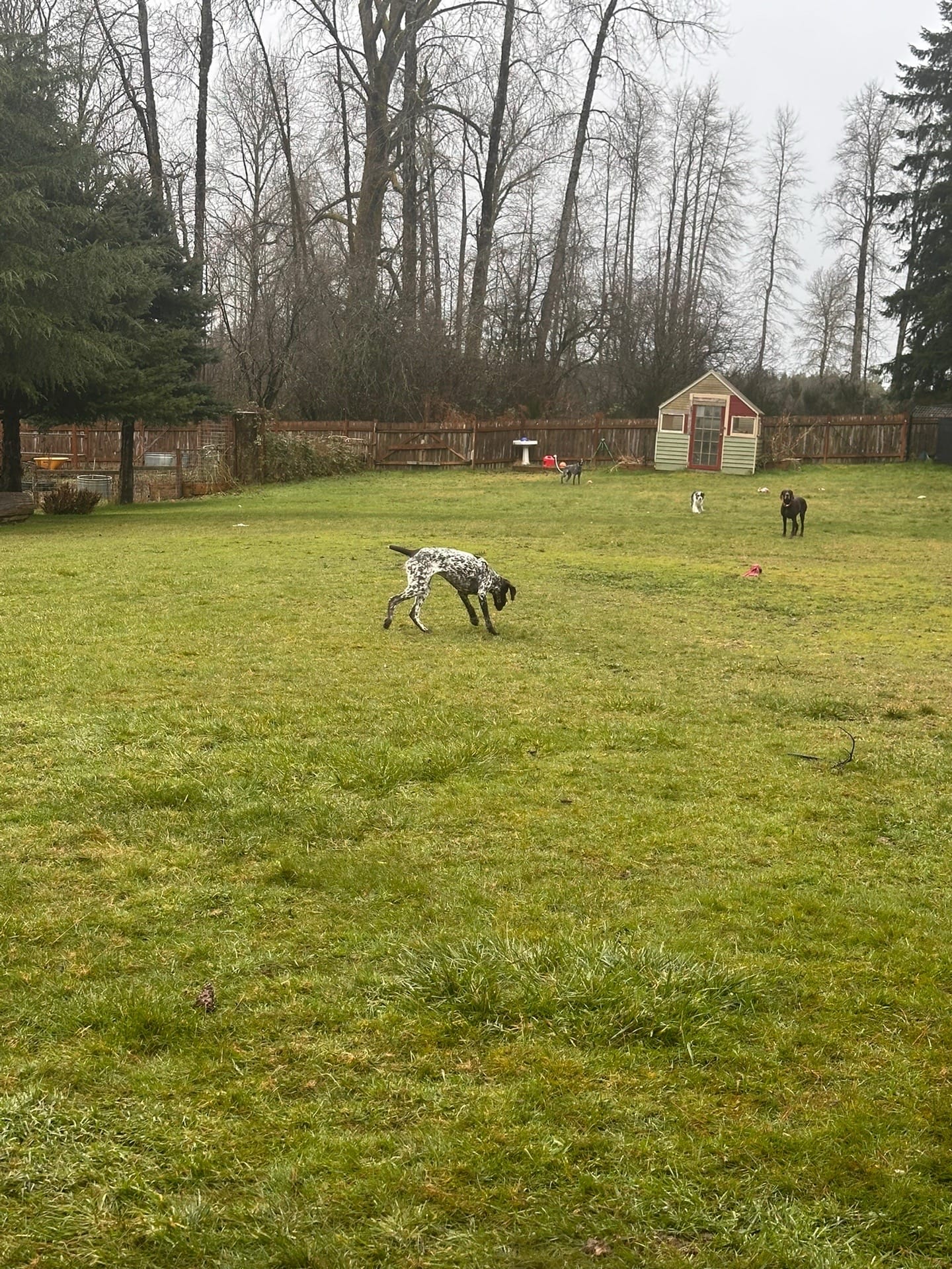 Post 6 by Fly-N-Bee Farms on TikTok (video)