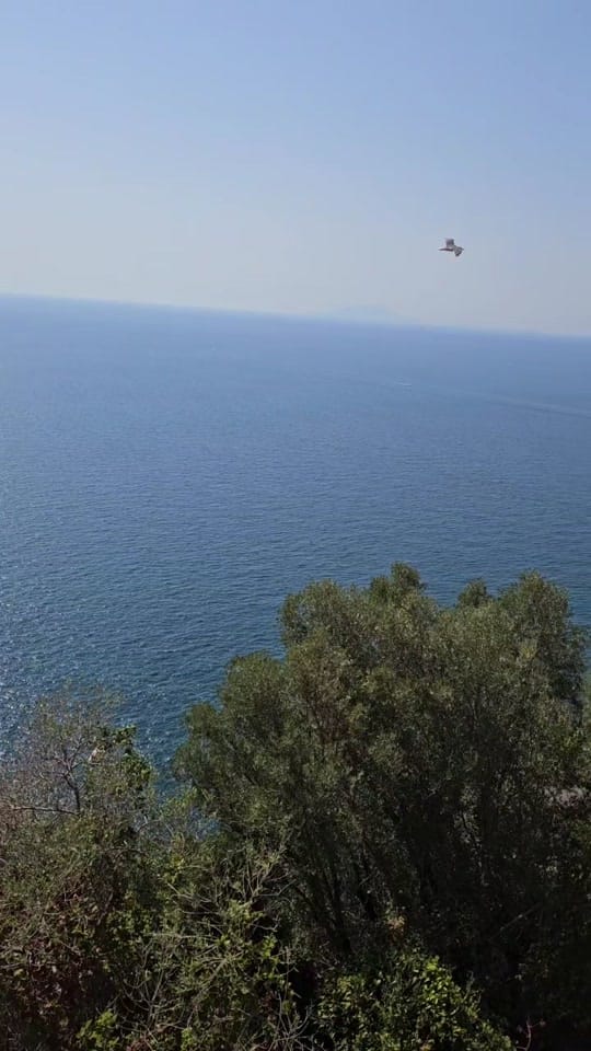 Post 1 by Luis Vega Tha Rocketman on TikTok (video)