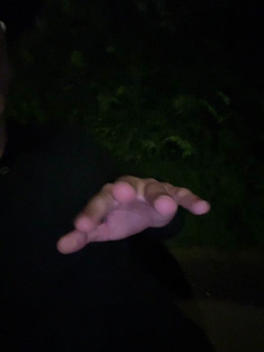 Post 1 by Loyaler🇧🇦 on TikTok (video)
