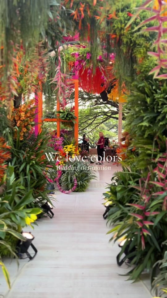 Post 9 by Juan Pablo Partida on TikTok (video)