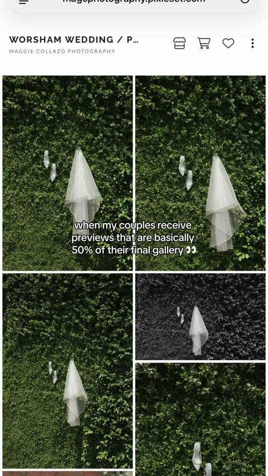 Post 4 by maggiecollazophoto on TikTok (video)