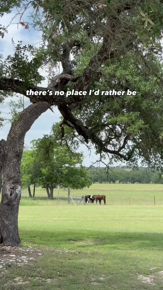 Post 3 by The Vineyard At Florence on TikTok (video)